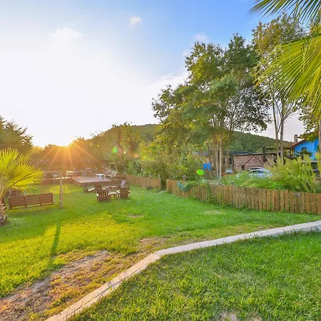 Mints (adults Only) 3*