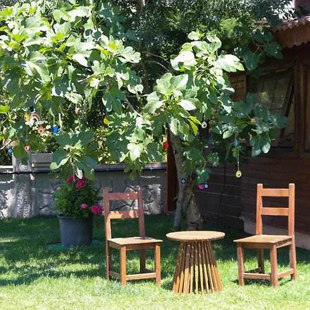 فندق Mints (adults Only)