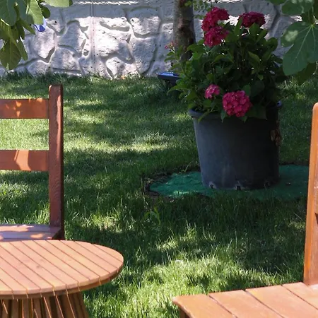 Mints (adults Only) آغفا