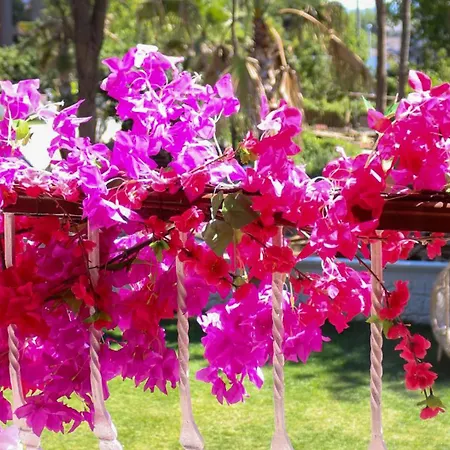 Hotel Mints (adults Only)